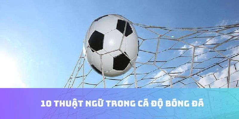 10 thuật ngữ trong cá độ bóng đá