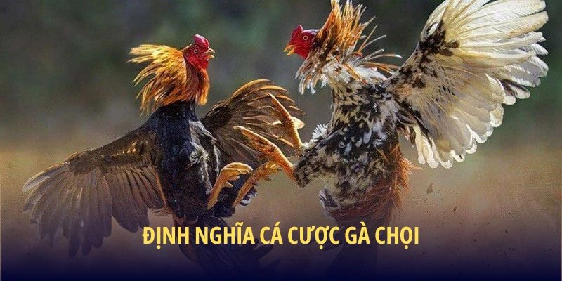 Định nghĩa cá cược gà chọi