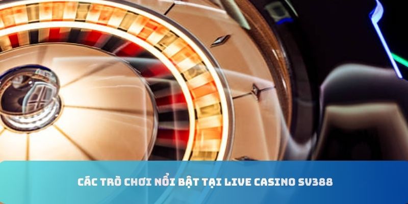 Các sản phẩm giải trí nổi bật