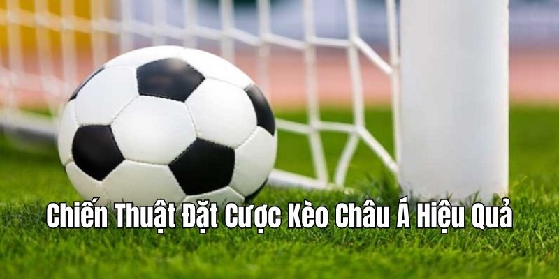 Chiến thuật cá kèo Châu Á hiệu quả