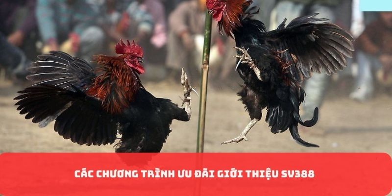 Chương trình ưu đãi về cổng game
