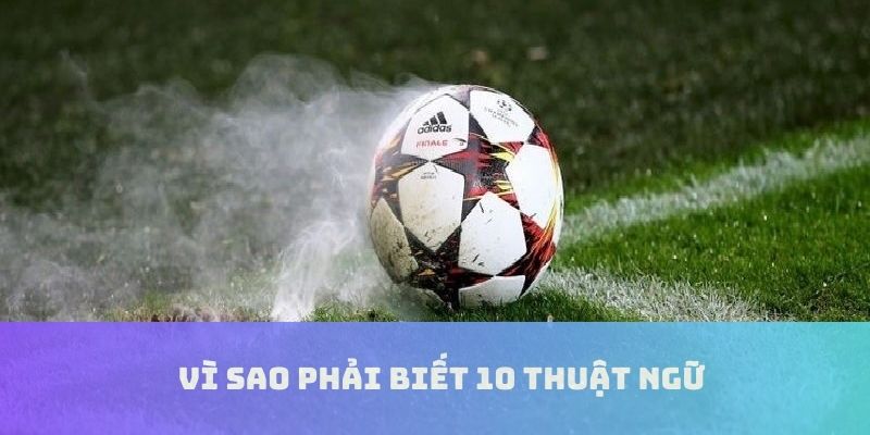 Giải thích lý do cần biết 10 thuật ngữ cá độ