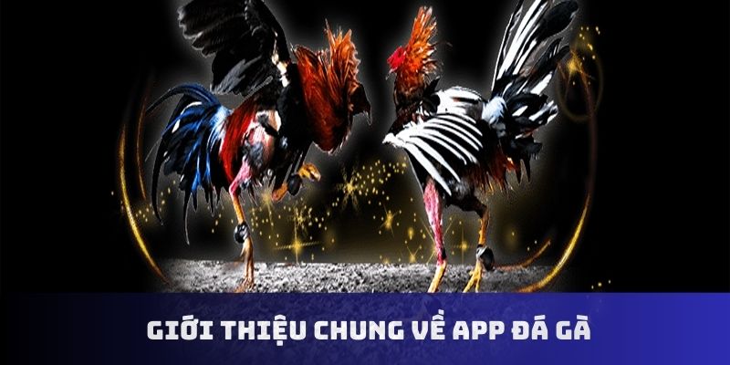 Giới thiệu chung phần mềm cá cược đá gà online