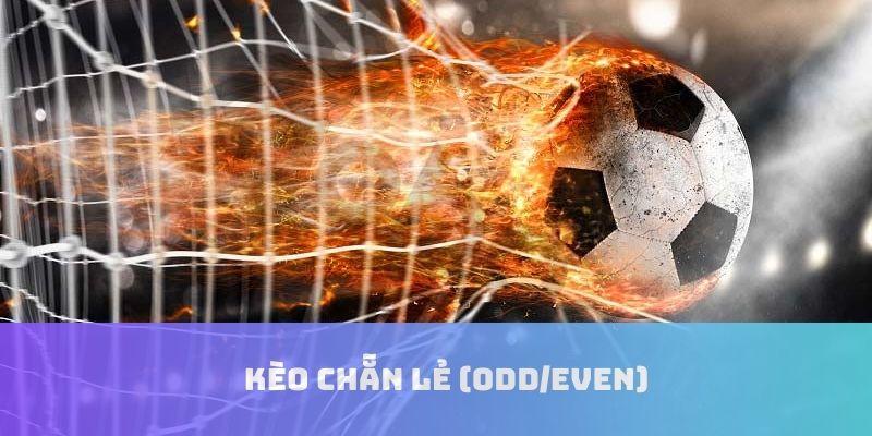 Kèo cược chẵn lẻ SV388