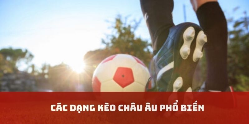 Dạng kèo cược phổ biến cho người mới
