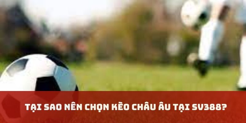 Lý giải cho việc nên tham gia cá cược Châu Âu SV388